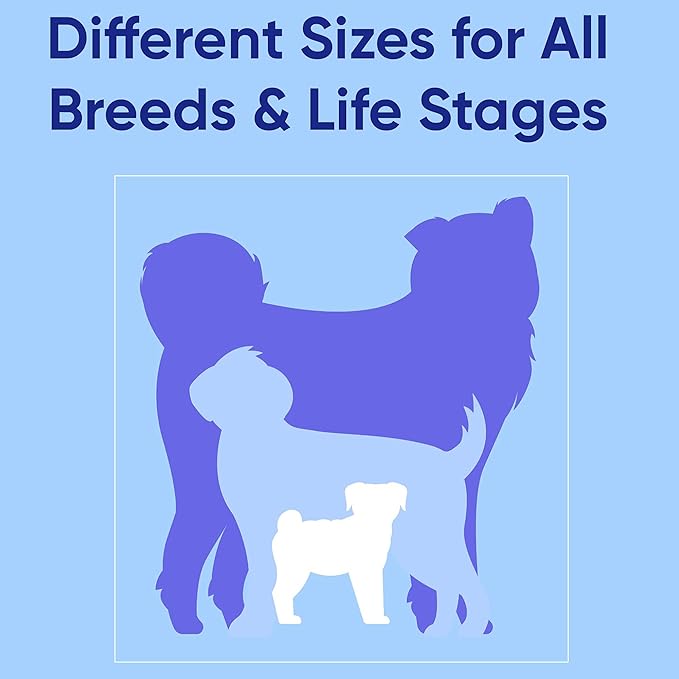 Pawtitas Medium Dog Harness - Teal, Adjustable, Reflective Step-in Harness for Senior Dogs to Puppies