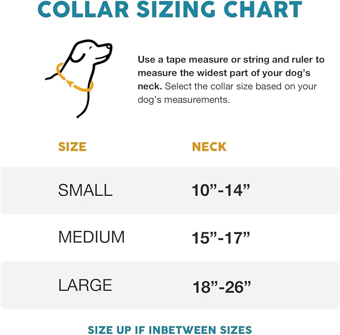 Embark Adventure Dog Collar – Stylish & Durable Nylon Collar for Medium Dogs, Comfortable & Adjustable Pet Collar for Medium Sized Dog with Strong Buckles