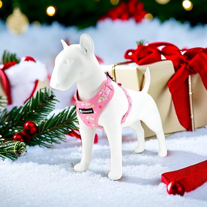 Dog Cat Harness and Leash Set, Puppia Soft Mesh Padded and Adjustable Puppy Vest Cute Dog Clothes Escape Proof Easy Walk Pet Accessories