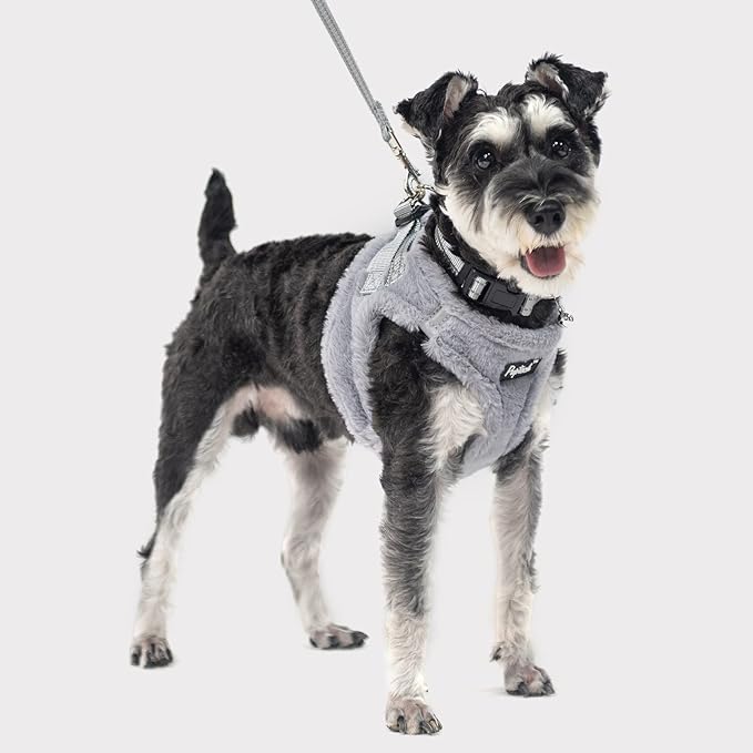 PUPTECK Adjustable Dog Harness Collar and Leash Set Step in No Pull Pet Harness for Small Medium Dogs Puppy and Cats Outdoor Walking Running, Soft Mesh Padded Reflective Vest Harnesses, Plush Grey XS