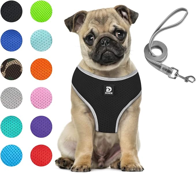 Puppy Harness and Leash Set - Dog Vest Harness for Small Dogs Medium Dogs- Adjustable Reflective Step in Harness for Dogs - Soft Mesh Comfort Fit No Pull No Choke (M, Black)