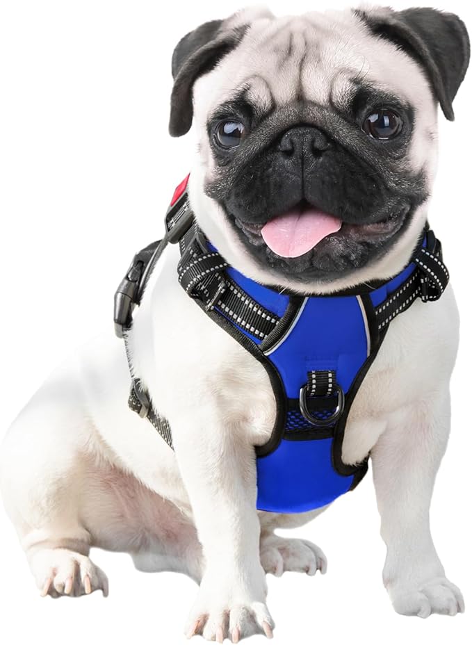 PHOEPET No Pull Dog Harness Medium Reflective Front Clip Vest with Handle,Adjustable 2 Metal Rings 3 Buckles,[Easy to Put on & Take Off](XL, Royal Blue)