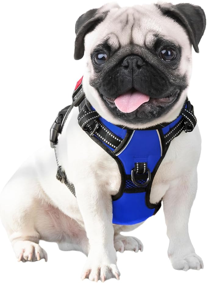 PHOEPET No Pull Dog Harness Medium Reflective Front Clip Vest with Handle,Adjustable 2 Metal Rings 3 Buckles,[Easy to Put on & Take Off](S, Royal Blue)
