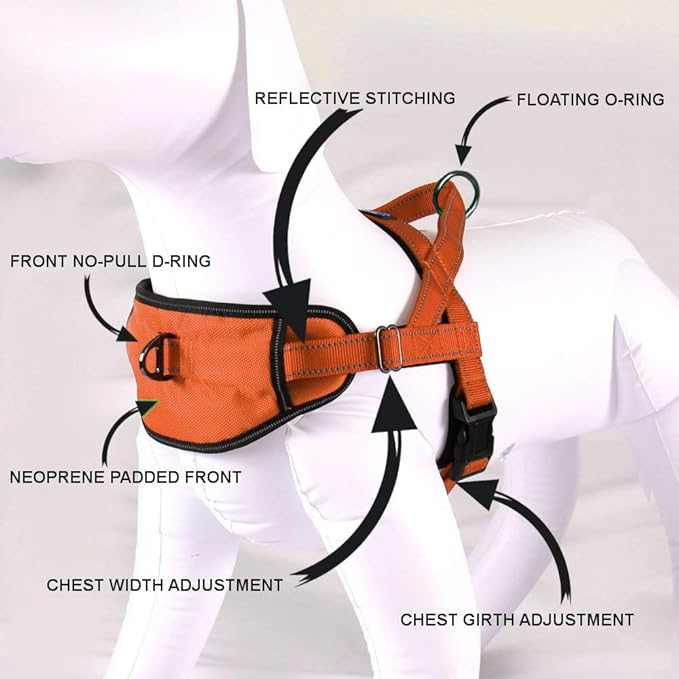 Max and Neo Passport Reflective Dog Harness - We Donate a Harness to a Dog Rescue for Every Harness Sold (Small (16"-22" Chest Girth), Orange)