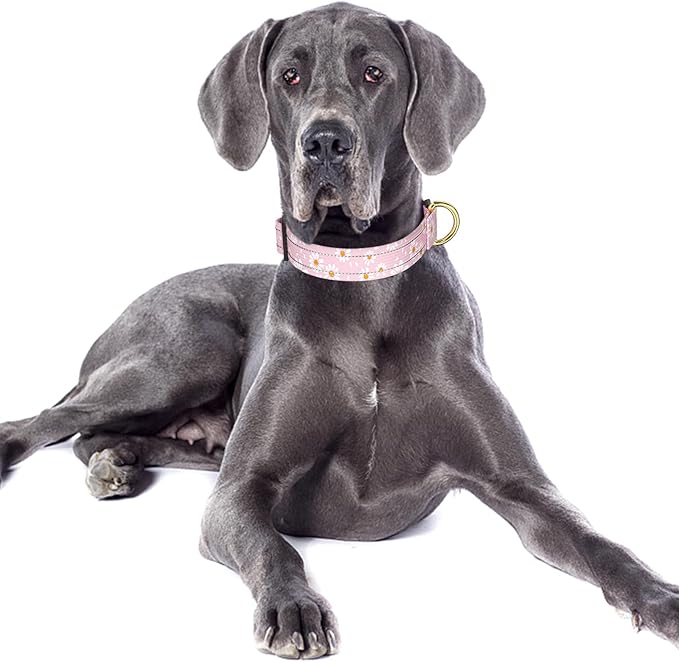 Reflective Dog Collar for Large Dogs, Cute Daisy Theme Adjustable Heavy-Duty Nylon Puppy Collar for Boy and Girl Female, Soft Pet Accessories with Quick Release Buckle, Neck 16-24", Pink