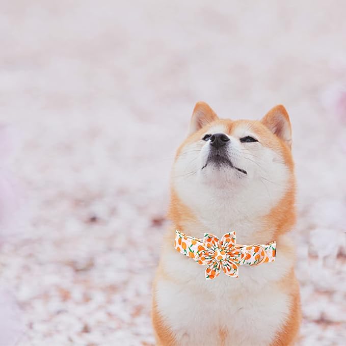 Elegant Peach Cute Pink Flower Dog Collar - Adjustable for X-Large Dogs