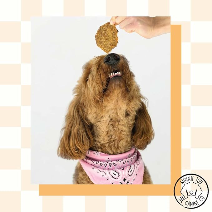 Winnie Lou Organic Turkey Jerky Dog Treats - Human Grade, All Natural, Healthy, Made in USA (2 Pack)