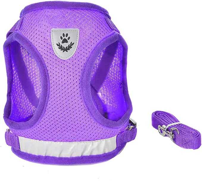 FEimaX Dog Harness and Leash Set for Walking, Soft Mesh Adjustable Easy Control Lightweight Cat Vest Harnesses with Reflective Strips, Escape Proof Small Dogs Cats Vests