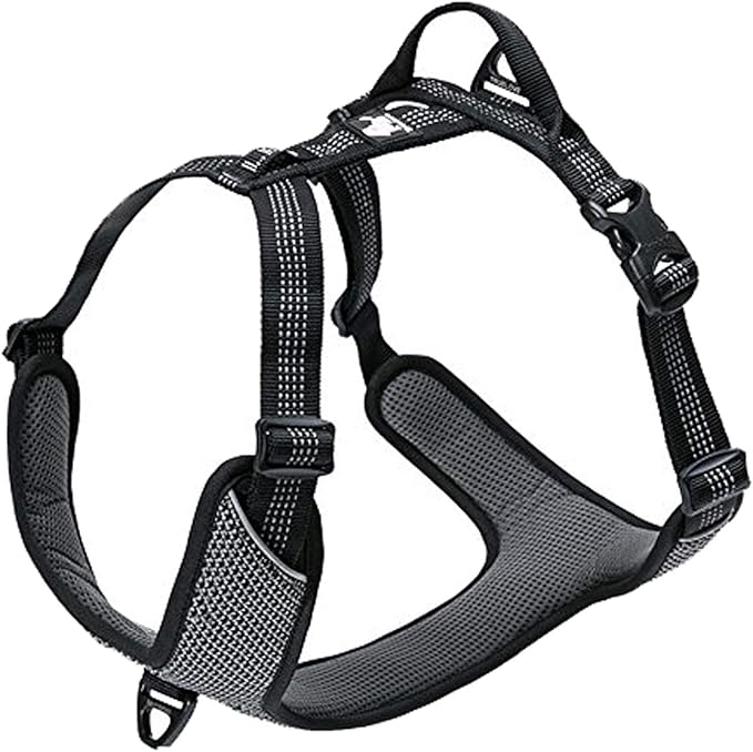 TRUE LOVE Dog Harness Outdoor Adventure II Reflective Vest with 2 Leash Attachments Matching Leash and Collar Available TLH6071