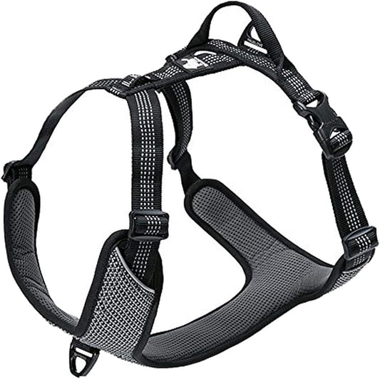 TRUE LOVE Dog Harness Outdoor Adventure II Reflective Vest with 2 Leash Attachments Matching Leash and Collar Available TLH6071