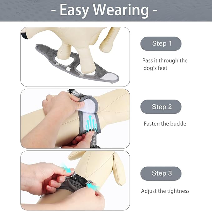 Dog Harness for Small Dogs and Leash Set, Honeycomb Grid, Reflective Lightweight Harness & Anti-Twist Pet Lead (Multi Color, Size: XS-S-M) (XS, Grey)