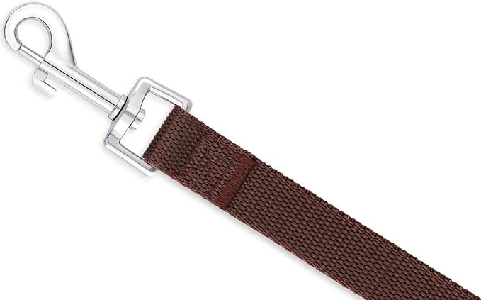 AMAGOOD 6 FT Puppy/Dog Leash, Strong and Durable Traditional Style Leash with Easy to Use Collar Hook, Great for Small, Medium and Large Dogs (1 in x 6 ft(Pack of 1), Brown)