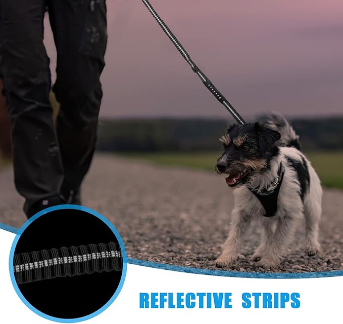 Raipult Tactical Heavy Duty Bungee Dog Leash for Medium Large Dogs That Pull, Military K9 Working Lead, 4-6FT Shock Absorbing Frog Clip Leash with Padded Traffic Handle & Car Seatbelt, Black