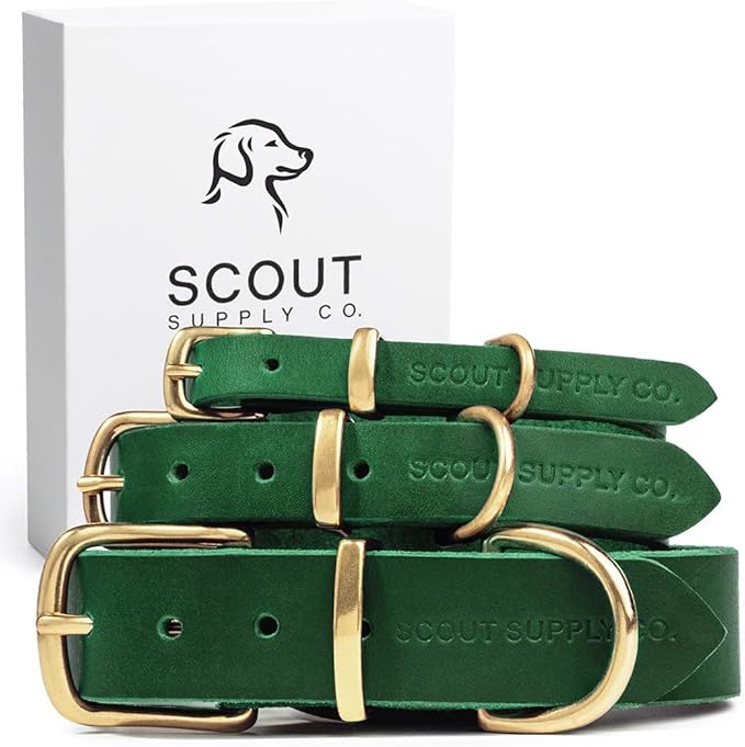 Scout Supply Classic Leather Dog Collar | Heavy Duty Thick Full Grain Leather | Waterproof & Rust-Proof Brass Hardware (Green, X Large)