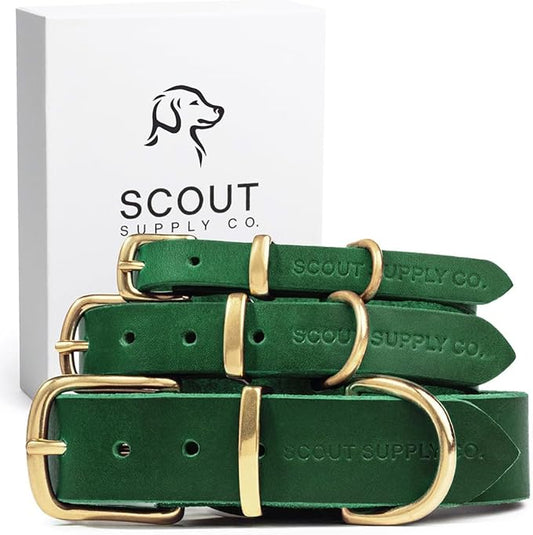 Scout Supply Classic Leather Dog Collar | Heavy Duty Thick Full Grain Leather | Waterproof & Rust-Proof Brass Hardware (Green, X Large)