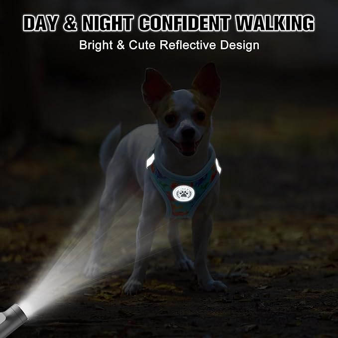 BEAUTYZOO Step in Dog Harness and Leash Set,Reflective Dog Harness No Pull No Choke Puppy Harness for Small Medium Large Dogs Cats,Soft Padded Mesh Vest Harnesses for Girl and Boy Pets,Dinosaurs S