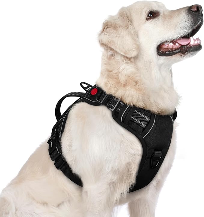 rabbitgoo Dog Harness for Large Dogs, No Pull Pet Harness with Soft Padded Handle, Adjustable Reflective Vest with 3 Buckles, Easy Walking Harness with 2 Leash Clips, Black, L