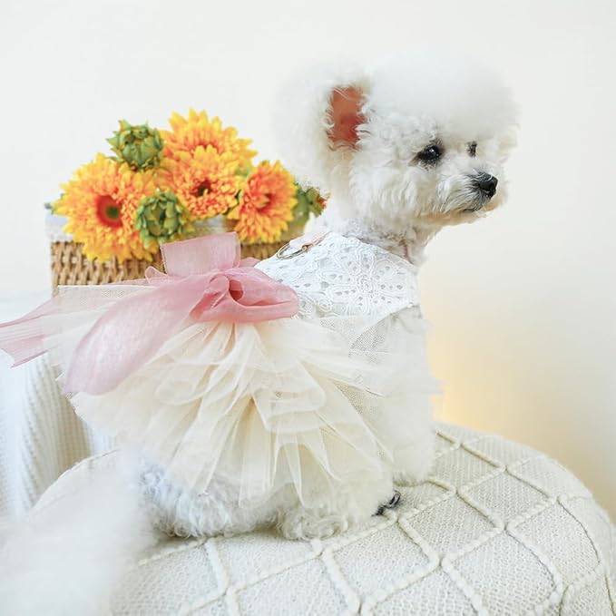 White Small Dog Wedding Dress with D-Ring, Bow Knot Puppy Clothes for Small Dog Girl,Cat Birthday Outfit, Pet Party Dress for Kitten Chihuahua Yorkie Pomeranian (White, X-Large)