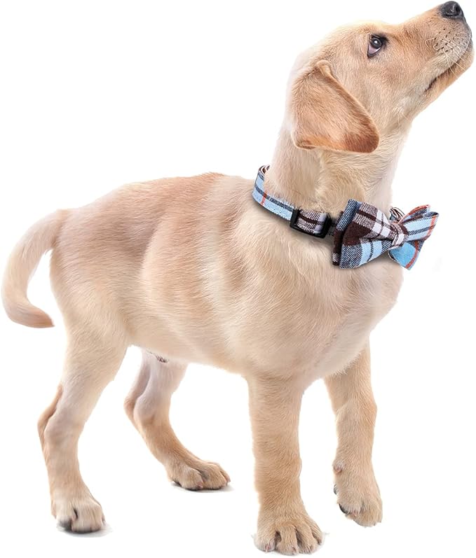 Faleela Soft &Comfy Bowtie Dog Collar,Detachable and Adjustable Bow Tie Collar,for Small Medium Large Pet (S, Blue)