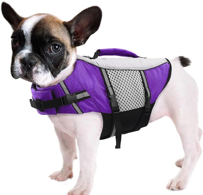 Queenmore Dog Life Jacket Swimming Vest Lightweight High Reflective Pet Lifesaver with Lift Handle, Leash Ring Purple,XS