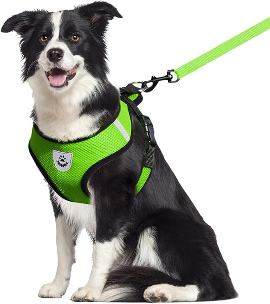 shudyear Dog Walking Chest Harness and Leash, Anti-Escape Adjustable Soft Mesh Dog Leash and Harness Set for Small Dog and Puppies, Vest for Medium Sized Dogs (Green, XL)