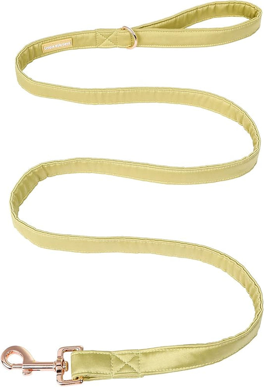 Unique style paws Silk Dog Leash Durable Dog Leashes with Welded D-Ring Comfortable Handle for Small Medium Large Dogs