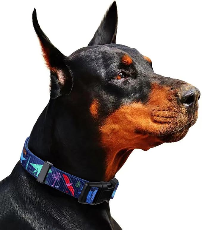Rhea Rose Dog Collar Special Design Personalized Cute Girl boy Soft Collars with Sunflower, Camo, American Flag, Plaid (M(Neck 13.1"-19", Width 3/4"), Cartoon Dinosaurs)