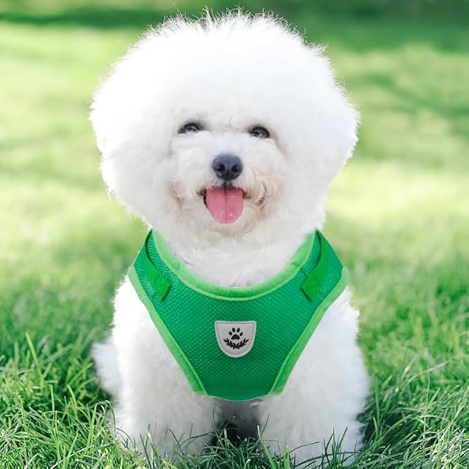 FEimaX Dog Harness and Leash Set for Walking, Soft Mesh Adjustable Easy Control Lightweight Cat Vest Harnesses with Reflective Strips, Escape Proof Small Dogs Cats Vests