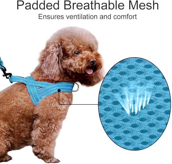 Plutus Pet No Pull Dog Harness with Breathable Mesh Padded, Adjustable Reflective Escape Proof Dog Harness, Quick Fit Dog Vest Harness for Small Medium Large Dogs(XS, Cyan)