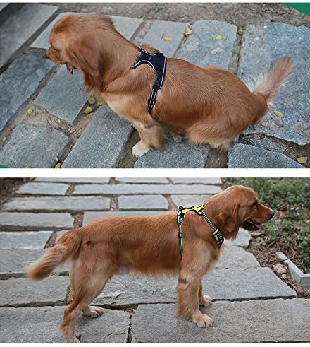 Soft Front Dog Harness .Best Reflective No Pull Harness with Handle and 2 Leash Attachments