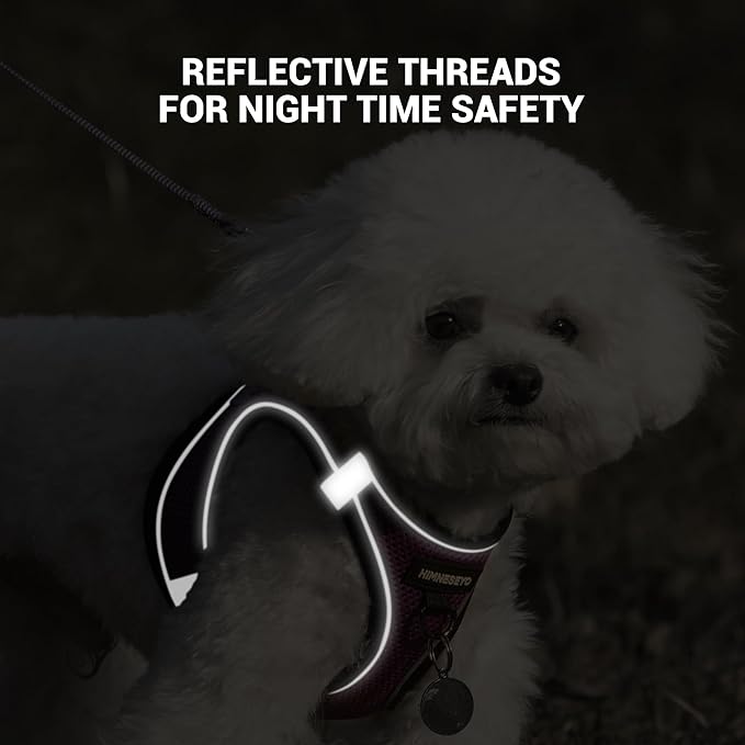 Dog Harness and Leash Set, Dog Harness for Dogs No Pull, No-Chock Step-in Reflective Breathable Lightweight Easy Walk Vest Harnesses with Safety Buckle for Small Medium Dogs, Cats (Purple, S)