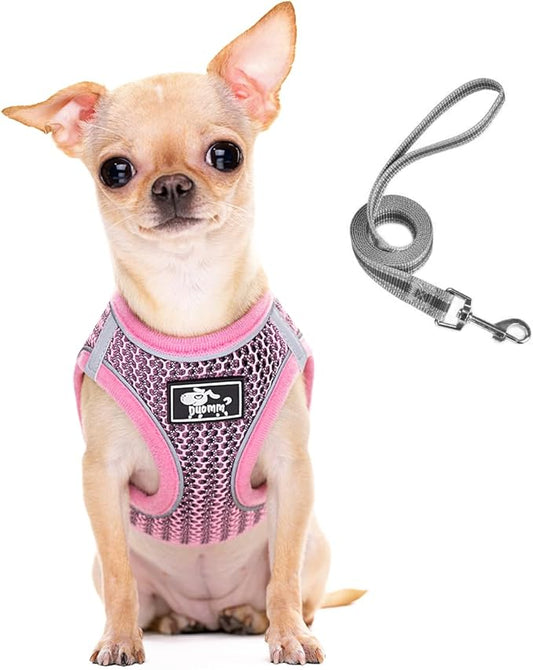Dog and Cat Universal Harness with Leash - Cat Harness Escape Proof - Adjustable Reflective Step in Dog Harness for Small Dogs Medium Dogs - Soft Mesh Comfort Fit No Pull No Choke, Pink, XS