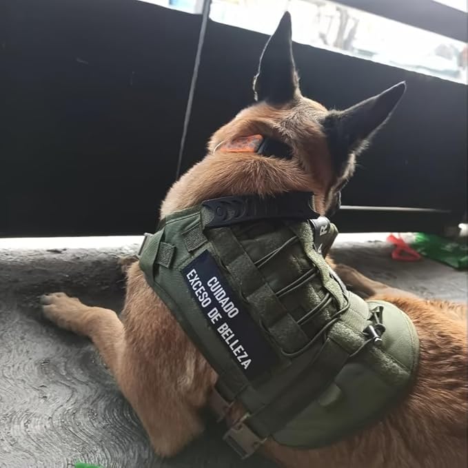 DIY Dog's Name & Everything Dog Harness Leash Set, Personalized No Pull Dog Vest, Custom Tactical Military Dog Harness & Retractable Leash, Outdoor Training Gear for Medium & Large Dogs (Gray, S)