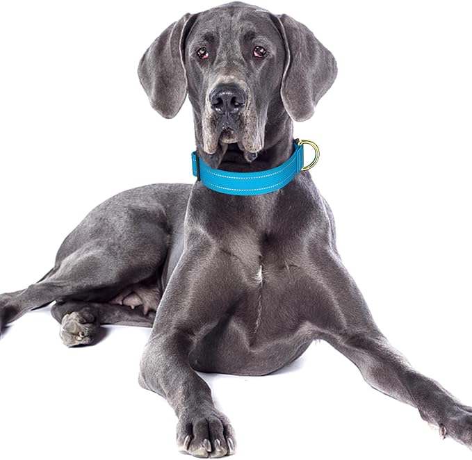 Reflective Dog Collar for Large Dogs, Cute Adjustable Heavy-Duty Nylon Puppy Collars for Boy and Girl Female, Soft Pet Accessories with Quick Release Buckle, Neck 16-24", Blue