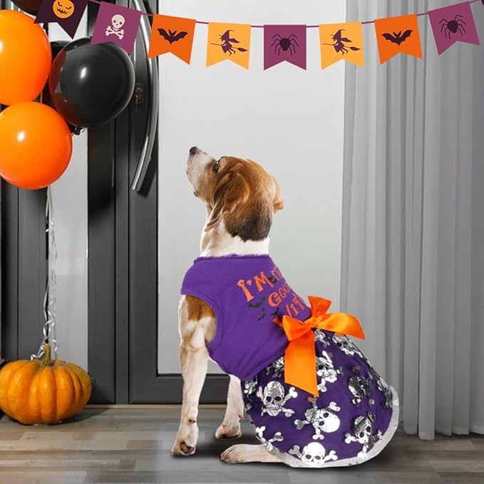 Funny Puppy Dress with Bow - Small to Large Dogs, Pumpkin Witch Bat Pet Costume for Halloween & Christmas (X-Small, Good Witch2)