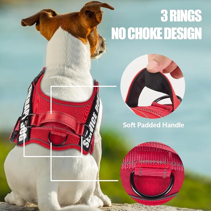 Dog Vest Harness and Leash Set, Animire Reflective Service Dog Vest in Training Dog Harness with 10 Patches, 3 Rings Emotional Support Therapy Dog Harness for Small Medium Large Dogs(Red,S)
