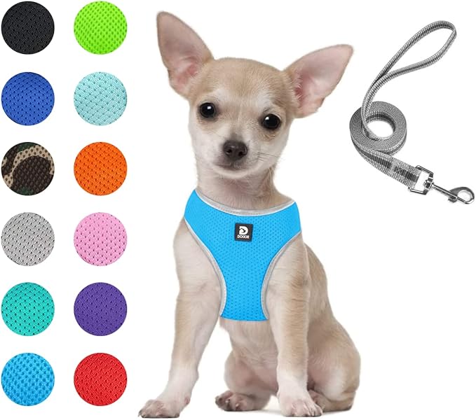 Puppy Harness and Leash Set - Dog Vest Harness for Small Dogs Medium Dogs- Adjustable Reflective Step in Harness for Dogs - Soft Mesh Comfort Fit No Pull No Choke (S, Light Blue)