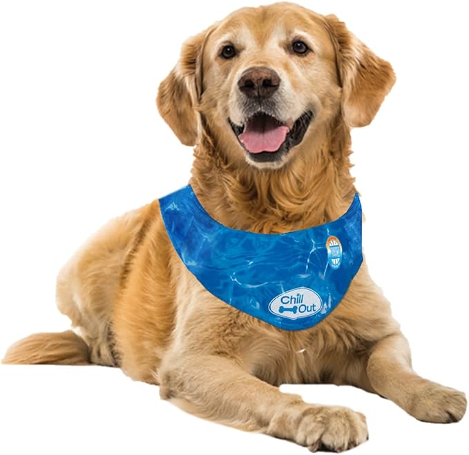 ALL FOR PAWS Cooling Neck Wraps for Dogs,Ice Dog Bandanas,Do g Cooling Bandana,Chill Out Blue Do g Collar Neck Cooler (XL)