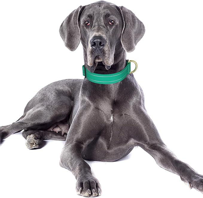 Reflective Dog Collar for Large Dogs, Cute Adjustable Heavy-Duty Nylon Puppy Collars for Boy and Girl Female, Soft Pet Accessories with Quick Release Buckle, Neck 16-24", Green Cat/Dog Collar