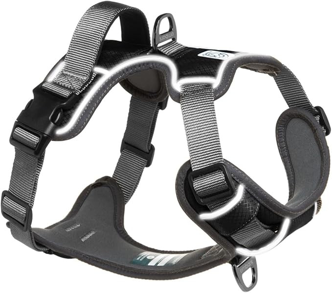 Embark Adventure Dog Harness, No-Pull Reflective Trim Dog Harness for Small, Medium & Large Dogs - Military Grade Nylon, 2 Leash Clips & Gel Lined Handle. Soft & Padded Puppy Dog Vest for Any Breed