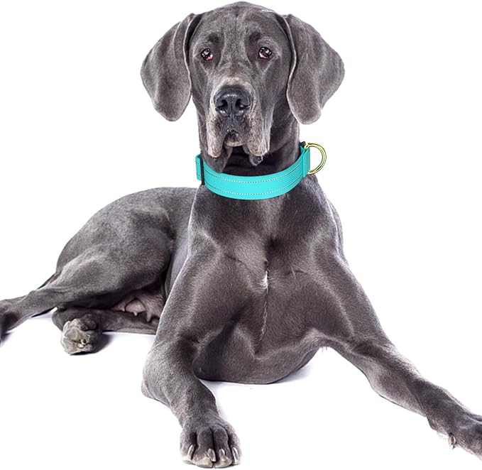 Reflective Dog Collar for Large Dogs, Cute Adjustable Heavy-Duty Nylon Puppy Collars for Boy and Girl Female, Soft Pet Accessories with Quick Release Buckle, Neck 16-24", Turquoise