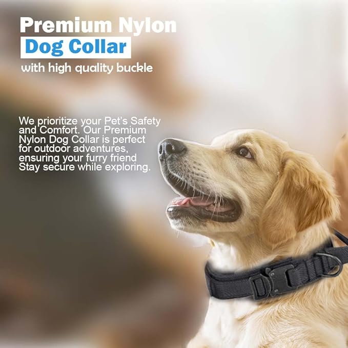 Adjustable Dog Collar - Easy Click Buckle for Small to Medium Dogs - Comfortable Neoprene Padding for Male & Female Dogs, Pet Collar for Puppies & Adult Dogs - Black