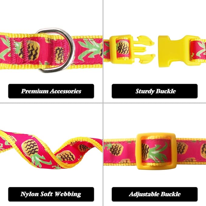 azuza Bowtie Dog Collar, Soft & Comfy Dog Collar with Bow, Fun Patterns & Bright Color for Large Dogs