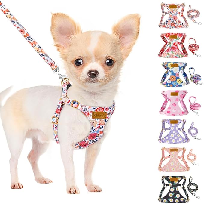 SlowTon No Pull Dog Harness with Leash - Soft Lightweight Floral Pattern Puppy Harness, Adjustable Pet Harness for Small Medium Dogs (Flower XXS)