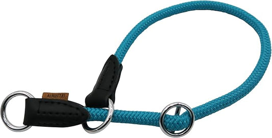 Braided Round Martingale Dog Collar, Training Collar with Slidable Stop Ring - Ideal for Small Dogs (S(1/3") - 16" Long, Light Blue)