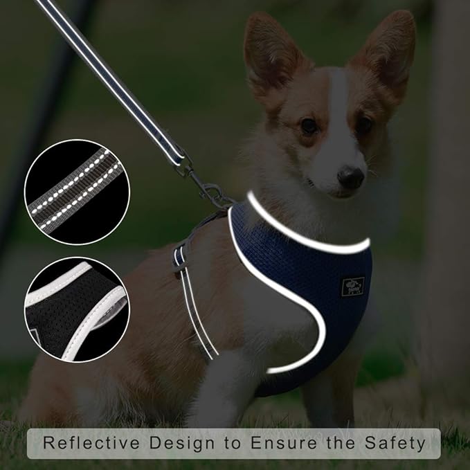 Puppy Harness and Leash Set - Vest for Small and Medium Dogs - Adjustable Reflective Step-in Harness for Dogs, Cats - Soft Mesh Comfort Fit No Pull No Choke (M, Grey)