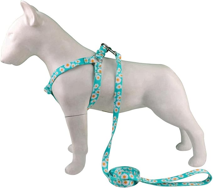 Green Daisy Pattern Basic Dog Halter Harness Leash Set, No Pull, Easy Wear for Small Dogs.(XS, Green Daisy)
