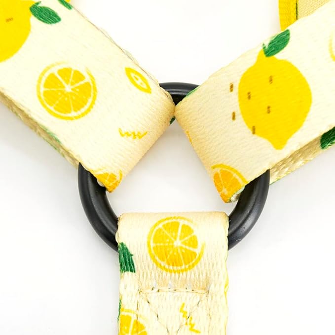 Dog Harness and Leash Set, Adjustable Dog Harness, Dog Leash, No Pull No Choke Puppy Harnesses for Walking Training for Small, Medium, Large Pet (Lemon, S(Chest 13-19", Neck 9.5-13.1"))