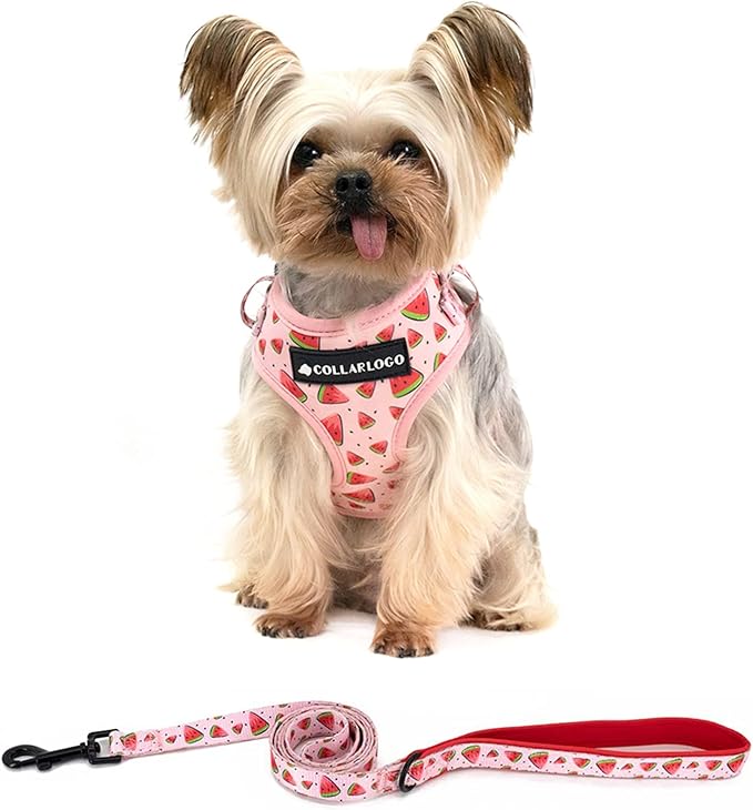 Coowone Dog Harness and Leash Set, Adjustable Puppy Harness and Soft Padded Dog Vest Harness for Small Medium Large Dogs