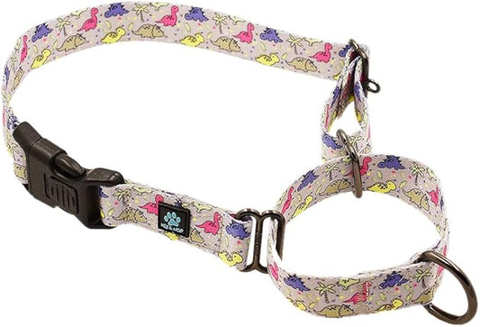 Max and Neo Patterned Martingale Dog Collar - We Donate a Collar to a Dog Rescue for Every Collar Sold (Small, Dinosaurs)
